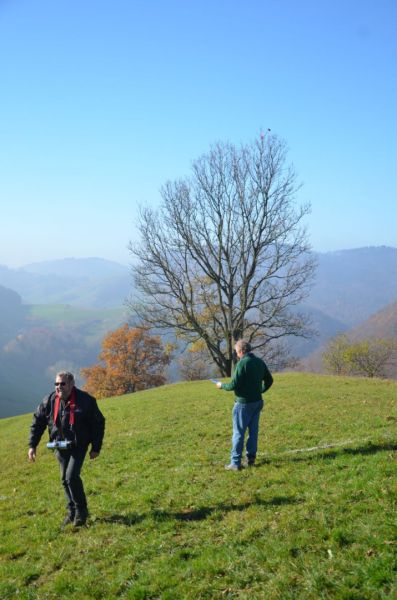 benken 2015  
