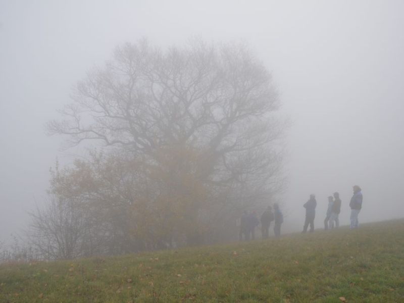 benken 2015  