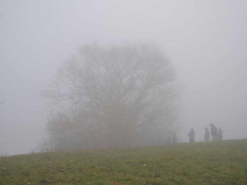 benken 2015  