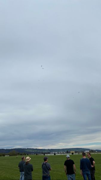 f3l birrfeld024  