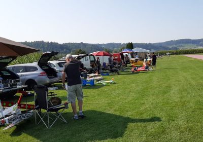 Freundschaftsfliegen Kulm 2020