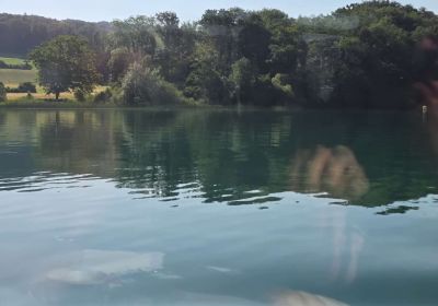 Hallwilersee Brunch