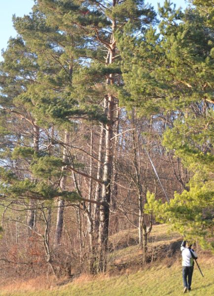 klausfliegen 2015  