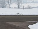 neujahrsfliegen 2015  
