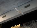 saalflug2026  