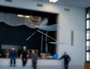 saalflug2026  