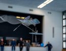 saalflug2026  