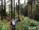 wanderung 2019  