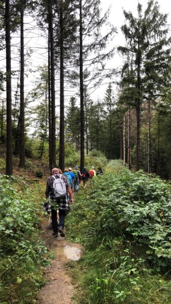 wanderung 2019  